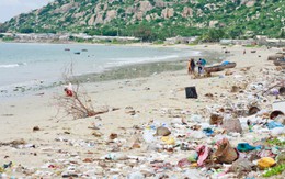 Rác vây bãi biển Cà Ná
