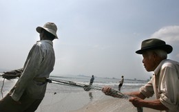 Nghề lưới quét của những lão ngư
