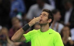 Del Potro hạ Federer để đăng quang