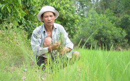"Tham nhũng, lãng phí là hai kẻ đồng hành, đồng lõa"