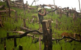Triển lãm ảnh Di sản Việt Nam 2012