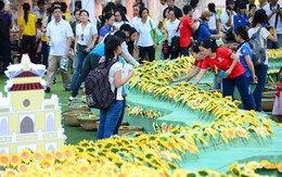 Cháy lên một mùa hoa hướng dương