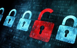 Lừa đảo qua Internet ngày càng tinh vi