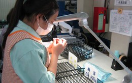 Có được chuyển từ du học sang tu nghiệp?