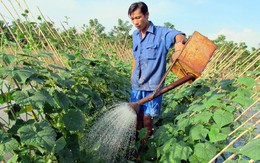 Hậu Giang: dân tình nguyện trả sổ hộ nghèo