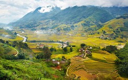 Việt Nam ngày nay