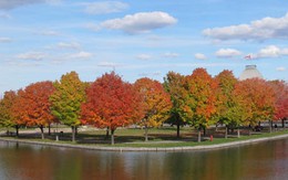 Canada ba sắc màu