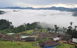 Hoang sơ Trà Cang