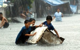 Bão Bopha đổ bộ Philippines với sức gió 210km/g