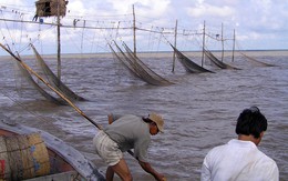 Sống ở đáy khơi