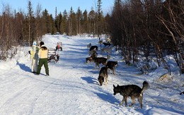 Xứ sở tuyết trắng Kiruna