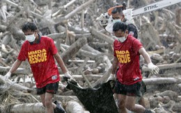 Bão Bopha có thể quay lại Philippines