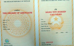 Lại thay mẫu bằng tốt nghiệp CĐ và TCCN mới