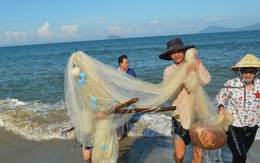 Ruốc về trên biển Hội An