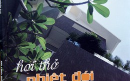 Hơi thở nhiệt đới