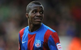 Nhiều CLB lớn dòm ngó Wilfried Zaha