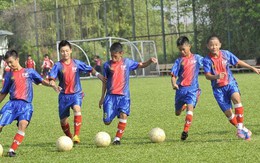 Bóng vẫn lăn trong ngày đầu năm