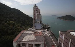 Hong Kong: 15.000 vây cá mập trên sân thượng nhà máy!