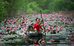 Suối Yến mùa không lễ hội