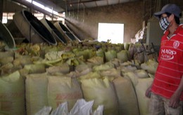 Không chỗ di dời, doanh nghiệp lo phá sản