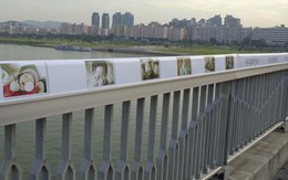 Cầu giám sát tự tử băng qua sông Hàn