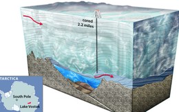 Nam cực: khoan lấy mẫu thành công ở độ sâu 3,2km