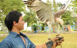 Săn lùng... đại bàng