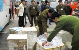 Bắt 1 tấn nội tạng thối chuyển từ Hà Nội vào TP.HCM