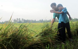 Trẻ em làm nông bằng công nghệ