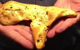 Úc: phát hiện khối vàng chữ Y 5,5kg