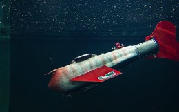 Robot cá phát hiện dầu thô