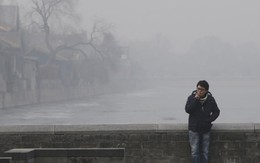 Triệu chứng ho Bắc Kinh