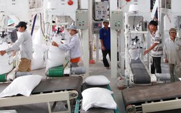 Gạo Việt trở lại Nhật