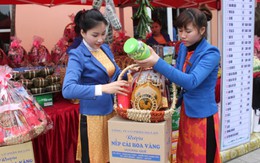 Tết Việt - hàng Việt: Tìm đầu ra cho sản phẩm địa phương