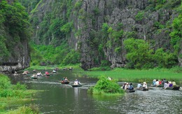 Đem cả gia đình đi chơi xuân