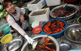 Cá chép cúng ông Táo: cá giấy lấn át cá sống!