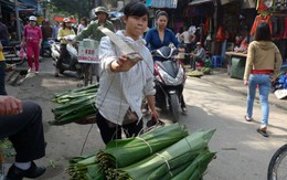 Quay về với Tết "sinh thái"