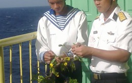 Lính đảo mang xuân về