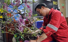 Đuốc vẫn cháy trên giàn khoan
