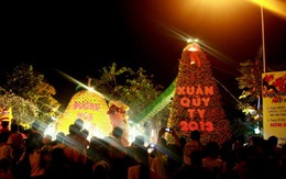 Hàng ngàn người tham quan đường hoa Trấn Biên