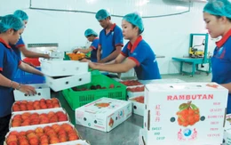 Khó khăn giúp ta tỉnh ngộ nhiều