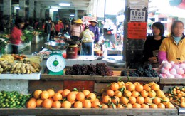Màu xanh Nhơn Hòa