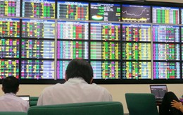 Giao dịch đầu năm: chứng khoán "múa lân"