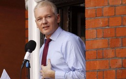 Nếu thắng cử, Julian Assange sẽ thôi ẩn náu