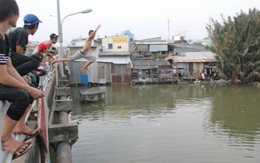 Nhào lộn tắm sông như phim... kinh dị