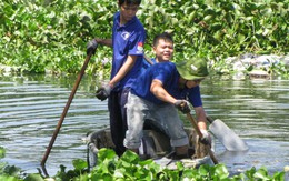 Hành động cụ thể, việc làm thiết thực