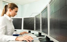 Cần điều kiện gì để làm ngành kinh tế môi trường?
