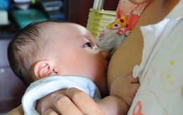 Rối với tỉ lệ đạm trong sữa
