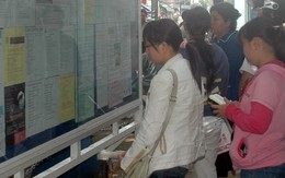 Trên 5.500 chỉ tiêu việc làm