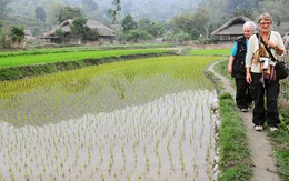 Chiều qua thôn Tha